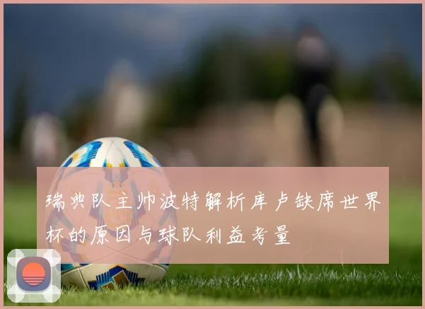 瑞典队主帅波特解析库卢缺席世界杯的原因与球队利益考量