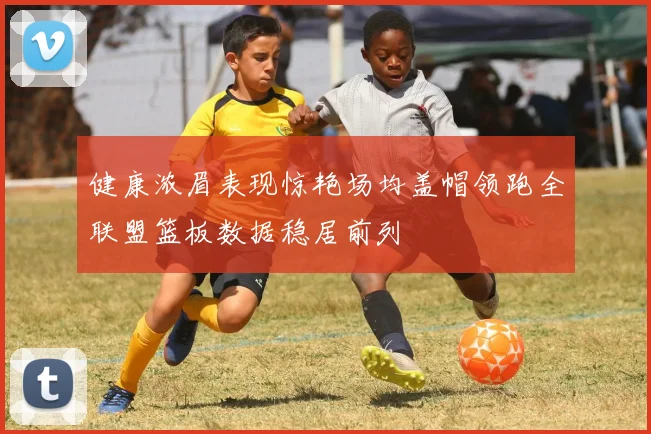 健康浓眉表现惊艳场均盖帽领跑全联盟篮板数据稳居前列